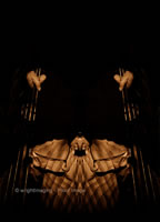 Double Bass.jpg (82kb)