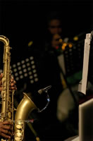 [2005-01-28]-100.jpg (91kb)